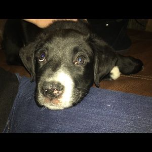 Meet your Posher, Crystal